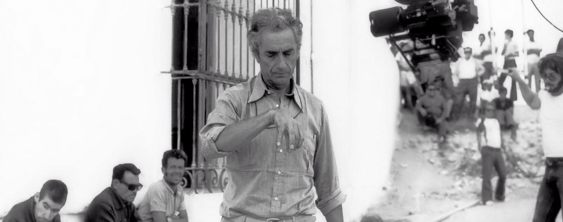 Director, Michelangelo Antonioni